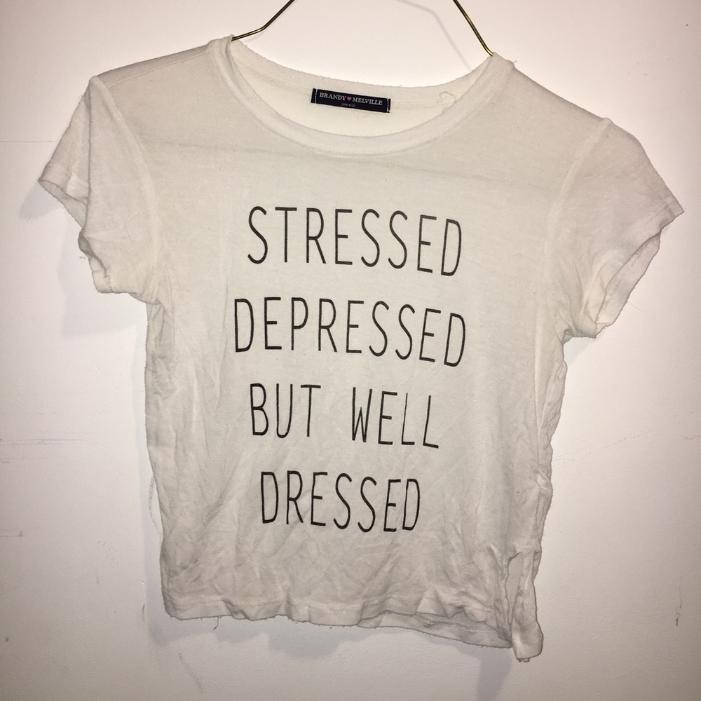 Brandy Melville Crop Top